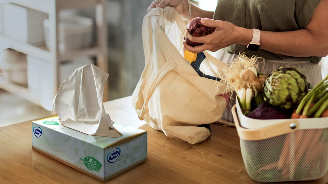 Essity-prodotti-tissue