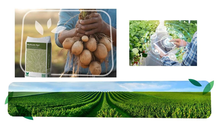 Progetto Impresoft Engage e forSales - Haifa Group - 2-1