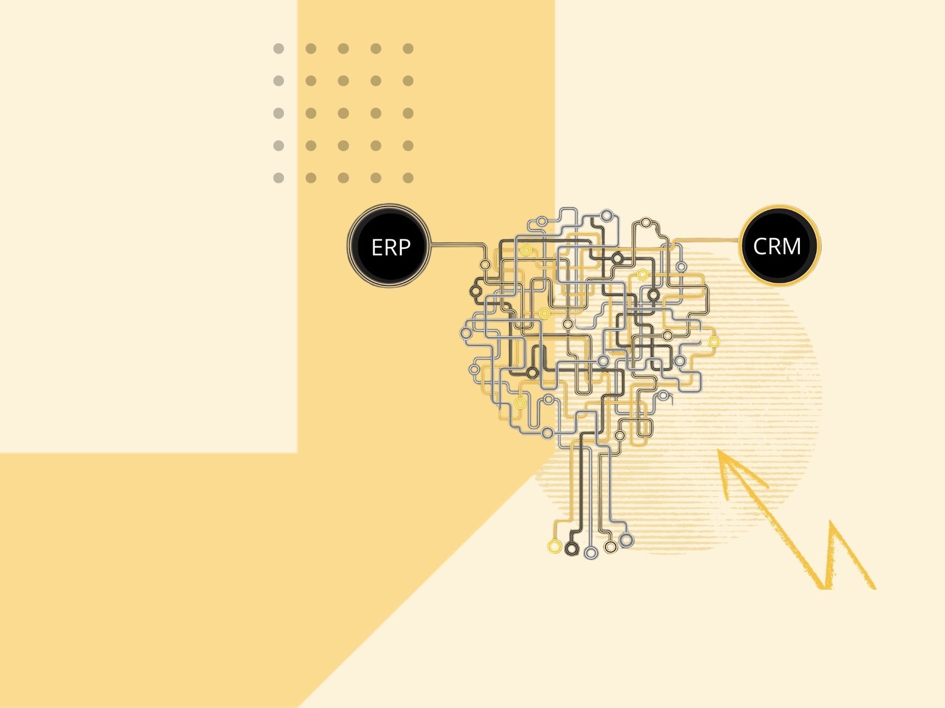 Integrazione CRM ed ERP