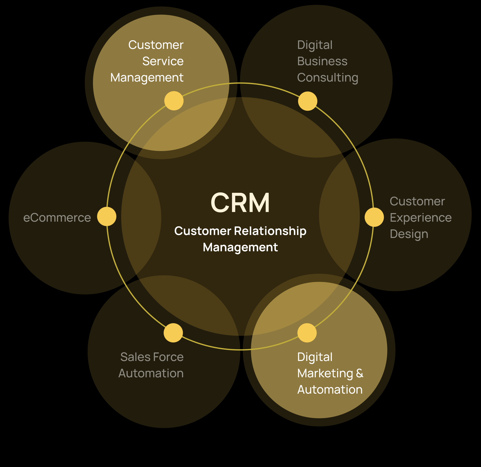 Magic Circle: Customer Service Management & Digital Business Consulting