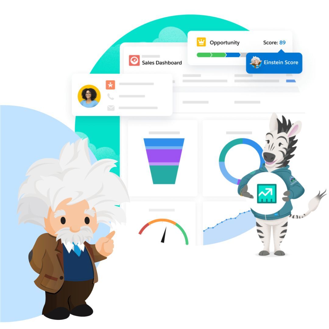 Salesforce Sales Cloud Salesforce Sales Cloud